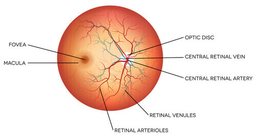 Retina Surgery Cedar Rapids Eye Drops West Des Moines