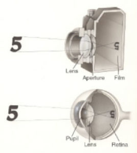eye as camera