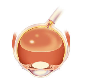 gas_bubble